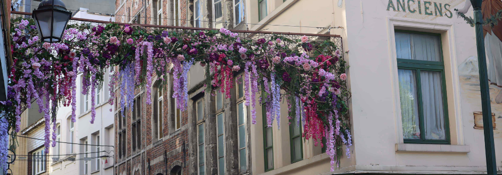 structures florales traversée de rue