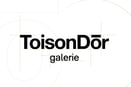 Logo Gallerie Toison dor