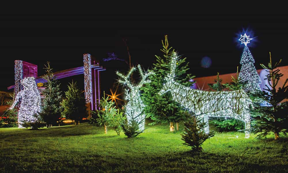 Décoration de Noël animaux villes communes