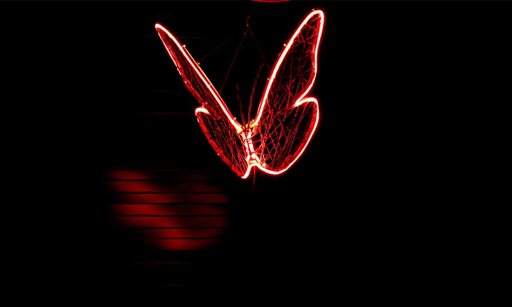 Décoration lumineuse néon papillon