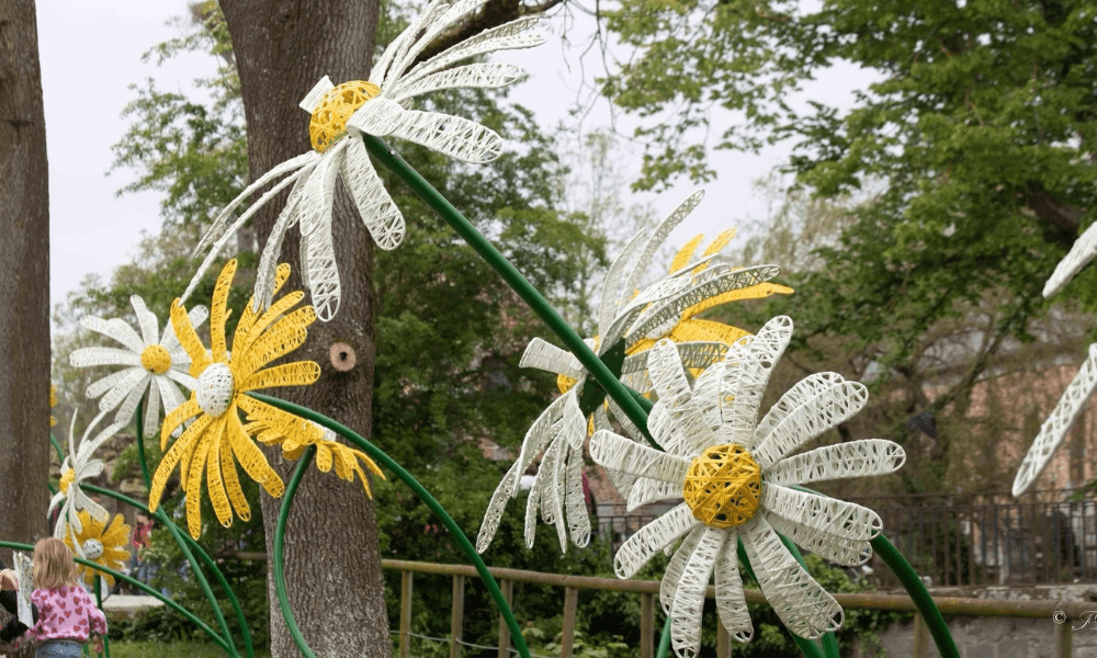 Structures florales marguerites espaces publics