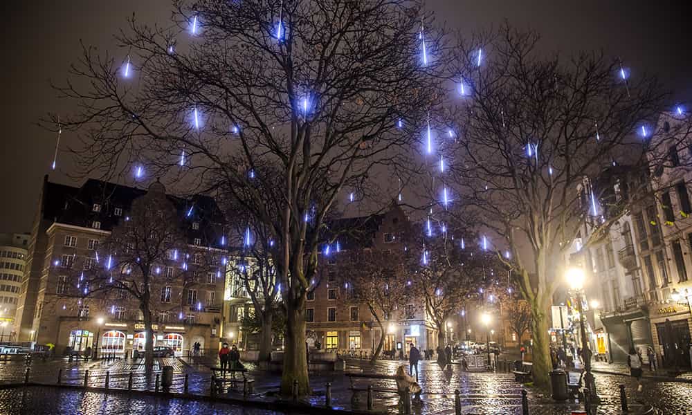 Décorations lumineuses arbres Bruxelles