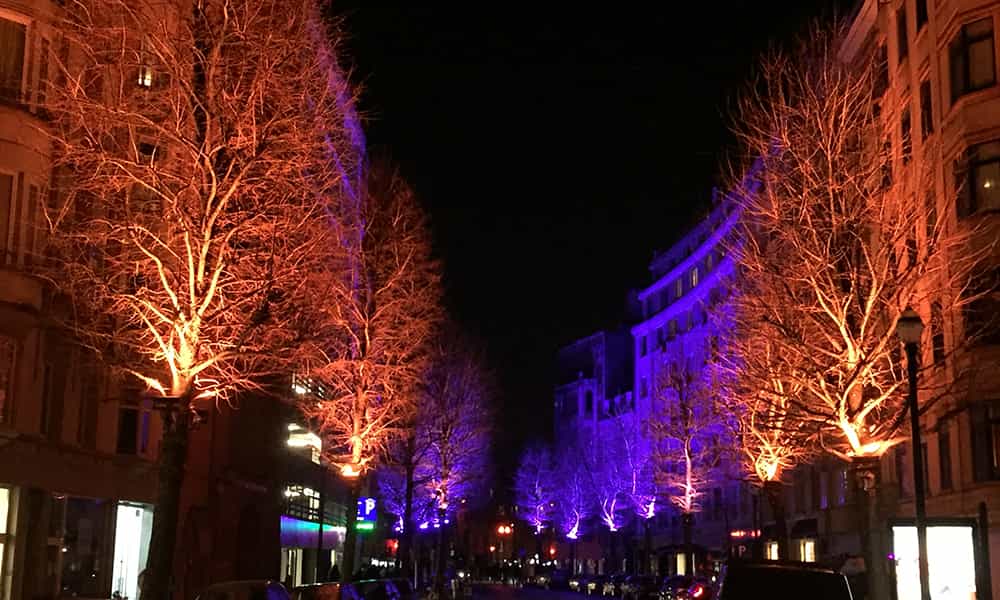 Mise en lumière arbres